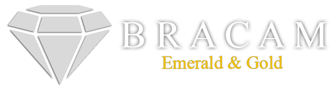 BRACAM